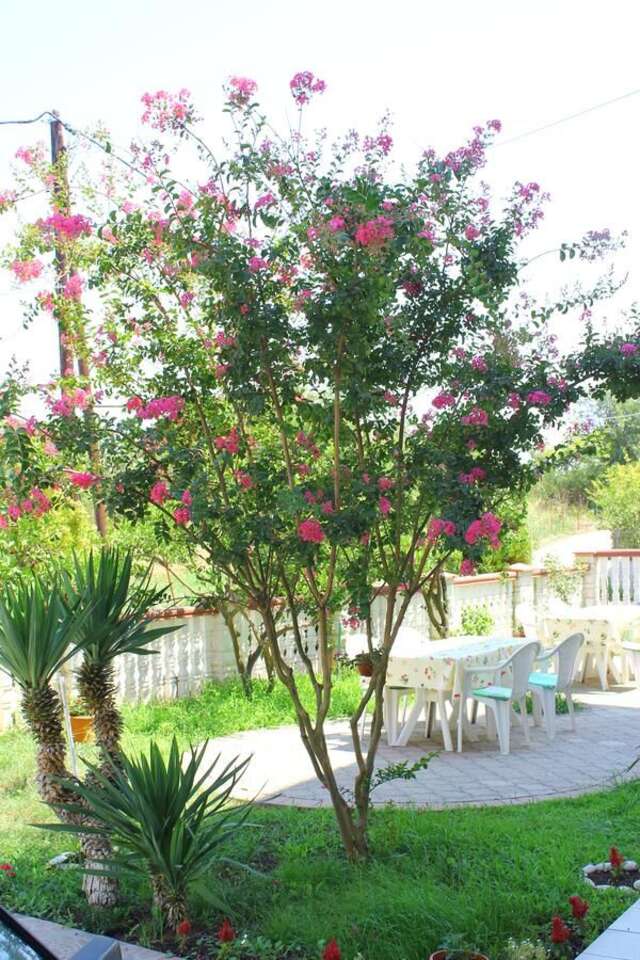 Гостевой дом Guest House Aldin Улцинь-7